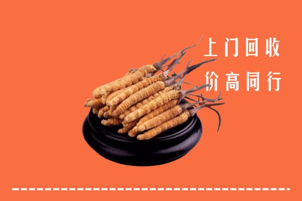 附近收购：临夏州和政县冬虫夏草回收多少钱每克