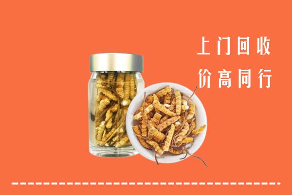 附近收购：临夏州和政县回收冬虫夏草